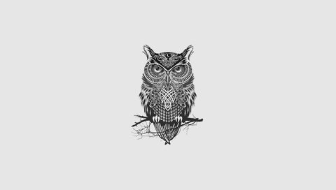 Обои арт, сова, минимализм, птица, art, owl, minimalism, bird разрешение 1920x1080 Загрузить