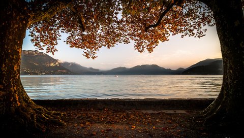 Обои деревья, озеро, горы, листья, ветки, осень, trees, lake, mountains, leaves, branches, autumn разрешение 2048x1365 Загрузить