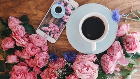 Обои цветы, розы, кофе, завтрак, flowers, roses, coffee, breakfast разрешение 5183x3402 Загрузить