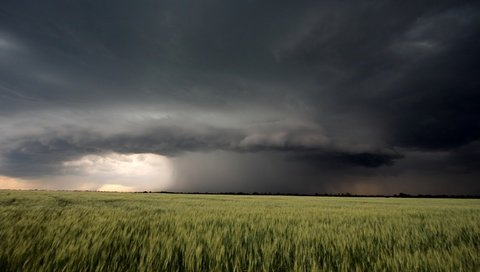 Обои природа, пейзаж, поле, лето, гроза, туча, nature, landscape, field, summer, the storm, cloud разрешение 1920x1080 Загрузить