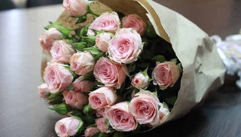 Обои розы, стол, букет, упаковка, розовая роза, букет на столе, roses, table, bouquet, packaging, pink rose, the bouquet on the table разрешение 5184x3456 Загрузить