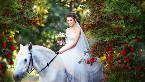 Обои букет, цветы, белое, лошадь, конь, невеста, девушка, рябина, настроение, свадебное, парк, платье, улыбка, белый, bouquet, flowers, horse, the bride, girl, rowan, mood, wedding, park, dress, smile, white разрешение 2000x1333 Загрузить