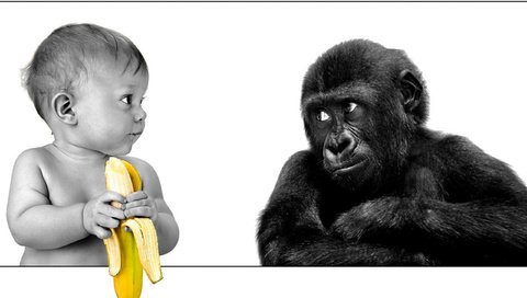 Обои ребенок, обезьяна, банан, child, monkey, banana разрешение 2560x1600 Загрузить