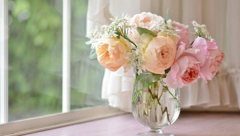 Обои цветы, окно, ваза, штора, ранункулюс, flowers, window, vase, blind, ranunculus разрешение 1920x1271 Загрузить