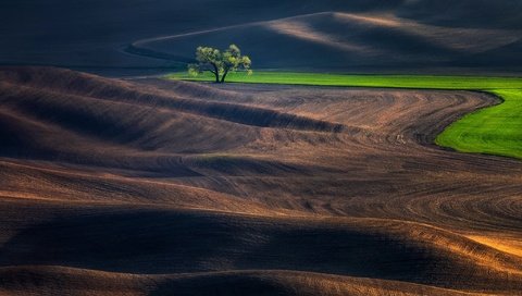 Обои холмы, дерево, поле, hills, tree, field разрешение 2048x1366 Загрузить