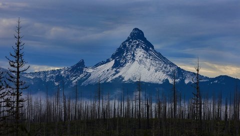 Обои деревья, горы, снег, природа, гора, trees, mountains, snow, nature, mountain разрешение 3840x2160 Загрузить