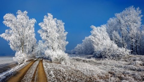 Обои дорога, иней, трава, деревья, снег, природа, зима, пейзаж, кусты, road, frost, grass, trees, snow, nature, winter, landscape, the bushes разрешение 1920x1080 Загрузить