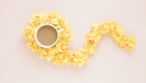 Обои цветы, фон, кофе, чашка, желтые, орхидеи, композиция, flowers, background, coffee, cup, yellow, orchids, composition разрешение 6000x4000 Загрузить