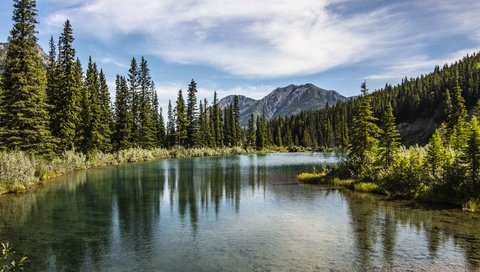 Обои деревья, озеро, горы, лес, вершины, trees, lake, mountains, forest, tops разрешение 3840x2160 Загрузить