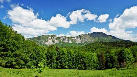 Обои небо, облака, горы, природа, лес, the sky, clouds, mountains, nature, forest разрешение 6000x3376 Загрузить