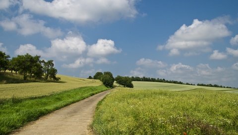 Обои небо, горизонт, дорога, трава, облака, деревья, природа, пейзаж, поле, the sky, horizon, road, grass, clouds, trees, nature, landscape, field разрешение 4912x2760 Загрузить