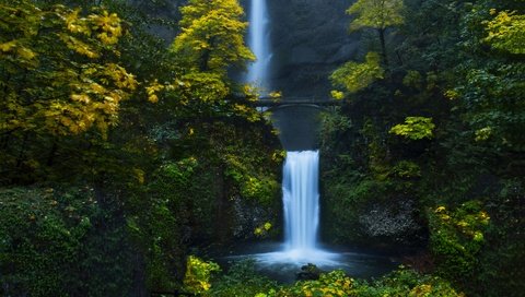 Обои деревья, вода, природа, лес, мост, водопад, trees, water, nature, forest, bridge, waterfall разрешение 4545x2613 Загрузить