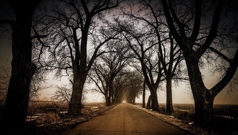 Обои дорога, деревья, природа, road, trees, nature разрешение 3840x2160 Загрузить