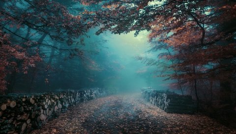 Обои дорога, лес, утро, туман, листва, осень, дымка, бревна, road, forest, morning, fog, foliage, autumn, haze, logs разрешение 3840x2160 Загрузить