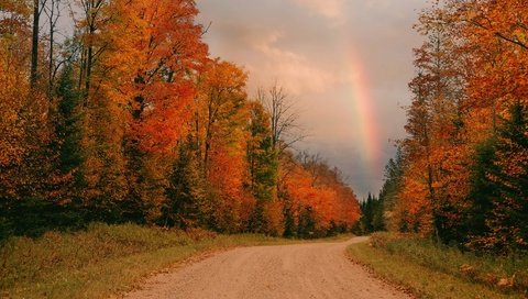 Обои дорога, осень, радуга, road, autumn, rainbow разрешение 3840x2160 Загрузить