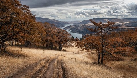 Обои дорога, природа, осень, road, nature, autumn разрешение 3840x2160 Загрузить