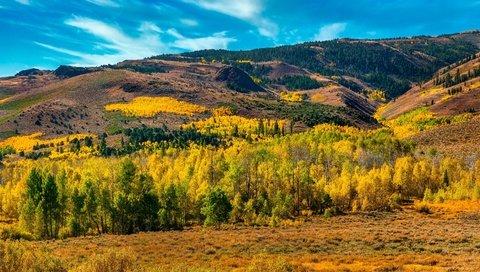 Обои горы, лес, mountains, forest разрешение 3641x2048 Загрузить