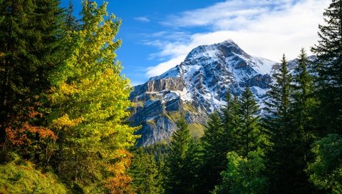 Обои горы, природа, лес, осень, швейцария, альпы, mountains, nature, forest, autumn, switzerland, alps разрешение 5120x3413 Загрузить