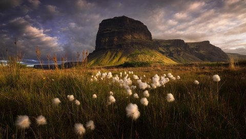 Обои горы, скалы, поле, луг, mountains, rocks, field, meadow разрешение 2048x1362 Загрузить