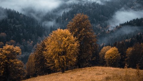 Обои горы, туман, осень, mountains, fog, autumn разрешение 3840x2160 Загрузить