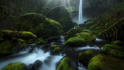 Обои камни, ручей, водопад, мох, орегон, ущелье реки колумбия, elowah-falls, columbia river gorge, stones, stream, waterfall, moss, oregon, the columbia river gorge разрешение 2048x1365 Загрузить