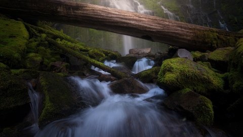 Обои камни, валуны, зелень, водопад, поток, мох, бревно, водопады, каскад, stones, boulders, greens, waterfall, stream, moss, log, waterfalls, cascade разрешение 2048x1391 Загрузить