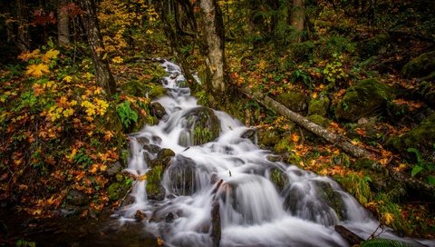 Обои лес, ручей, осень, каскад, forest, stream, autumn, cascade разрешение 6144x3886 Загрузить