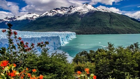 Обои озеро, горы, кусты, ледник, аргентина, анды, патагония, los glaciares national park, lake, mountains, the bushes, glacier, argentina, andes, patagonia разрешение 3200x1800 Загрузить