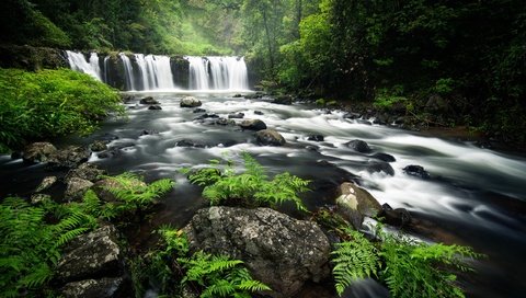 Обои река, лес, водопад, river, forest, waterfall разрешение 2560x1707 Загрузить