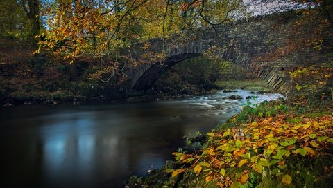 Обои река, листья, ветки, мост, осень, англия, lake district, камбрия, river, leaves, branches, bridge, autumn, england, cumbria разрешение 2048x1148 Загрузить