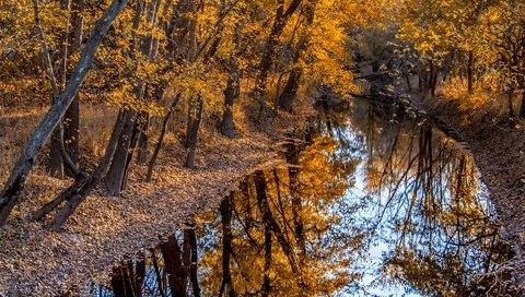 Обои деревья, река, природа, отражение, осень, trees, river, nature, reflection, autumn разрешение 3840x2160 Загрузить