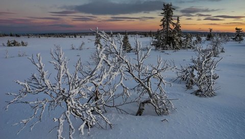 Обои снег, закат, snow, sunset разрешение 3840x2160 Загрузить