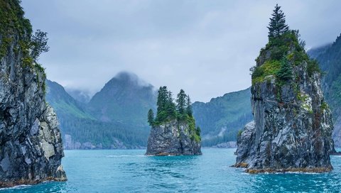 Обои сша, аляска, kenai fjords national park, usa, alaska разрешение 4193x2359 Загрузить