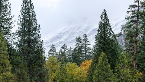 Обои сша, йосемити, национальный парк, сьерра-невада, usa, yosemite, national park, sierra nevada разрешение 2048x1365 Загрузить