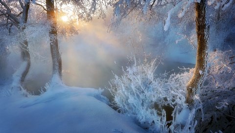 Обои свет, утро, деревья, туман, озеро, ветки, солнце, стволы, снег, мороз, берег, рассвет, зима, иней, пруд, лучи, light, morning, trees, fog, lake, branches, the sun, trunks, snow, frost, shore, dawn, winter, pond, rays разрешение 1920x1282 Загрузить