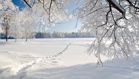 Обои свет, мороз, деревья, иней, тропинка, снег, сугробы, лес, зима, поле, ветки, ветви, light, frost, trees, path, snow, the snow, forest, winter, field, branches, branch разрешение 2880x1620 Загрузить