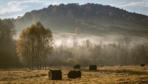 Обои туман, поле, сено, осень, fog, field, hay, autumn разрешение 3840x2160 Загрузить