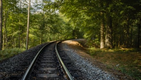 Обои железная дорога, природа, лес, railroad, nature, forest разрешение 7360x4912 Загрузить