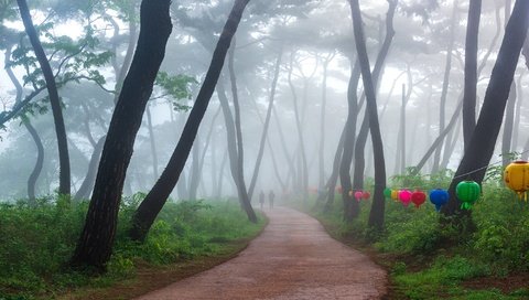 Обои деревья, парк, туман, дорожка, люди, фонарики, trees, park, fog, track, people, lanterns разрешение 2000x1169 Загрузить