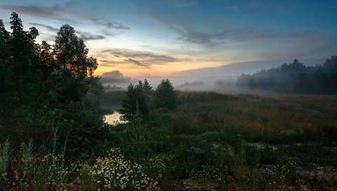 Обои деревья, вечер, природа, пейзаж, туман, луг, травы, trees, the evening, nature, landscape, fog, meadow, grass разрешение 1920x1200 Загрузить