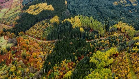 Обои дорога, лес, вид, осень, красота, краски осени, вид с высоты, road, forest, view, autumn, beauty, the colors of autumn, the разрешение 3840x2160 Загрузить