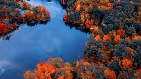 Обои лес, осень, forest, autumn разрешение 3840x2160 Загрузить