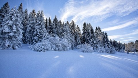 Обои деревья, лапландия, снег, природа, лес, зима, пейзаж, ели, финляндия, trees, lapland, snow, nature, forest, winter, landscape, ate, finland разрешение 5760x3840 Загрузить