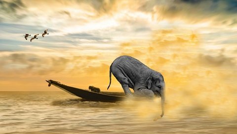 Обои море, слон, водоем, лодка, рендеринг, чайки, sea, elephant, pond, boat, rendering, seagulls разрешение 3840x2560 Загрузить