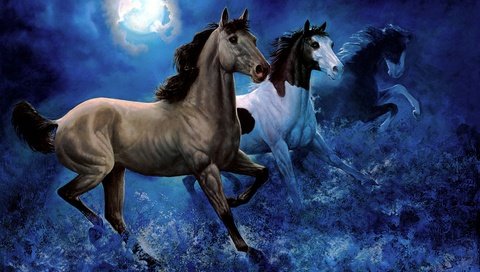 Обои небо, арт, ночь, луна, лошади, кони, бег, the sky, art, night, the moon, horse, horses, running разрешение 2948x2241 Загрузить