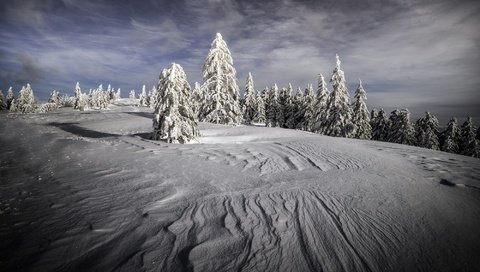 Обои небо, разводы, облака, даль, снег, ели, природа, холм, лес, сугробы, зима, тени, мороз, в снегу, склон, простор, the sky, divorce, clouds, dal, snow, ate, nature, hill, forest, the snow, winter, shadows, frost, in the snow, slope, space разрешение 2000x1334 Загрузить