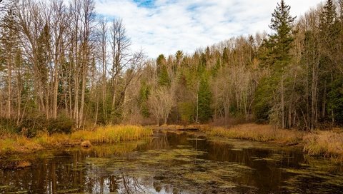 Обои озеро, лес, осень, lake, forest, autumn разрешение 2048x1250 Загрузить