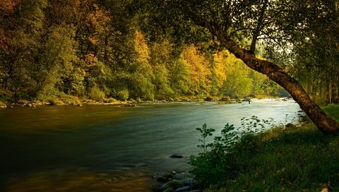 Обои трава, река, природа, камни, лес, пейзаж, осень, берега, grass, river, nature, stones, forest, landscape, autumn, bank разрешение 2300x1427 Загрузить