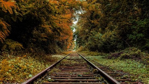 Обои железная дорога, рельсы, осень, railroad, rails, autumn разрешение 3840x2160 Загрузить