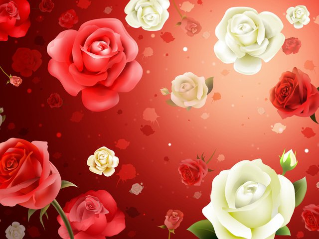 Обои цветы, обои, фон, розы, flowers, wallpaper, background, roses разрешение 2587x1687 Загрузить